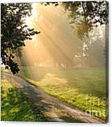Morning On Country Road Canvas Print