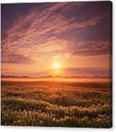Morning On The Fen Canvas Print