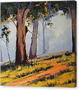 Morning Woodland Canvas Print