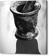 Mortar And Pestle Canvas Print