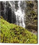 Moss And Waterfall Canvas Print