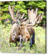 Moose Glow Canvas Print