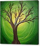 Mossy Tree Canvas Print