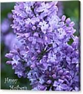 Mothers Day Lilacs Canvas Print