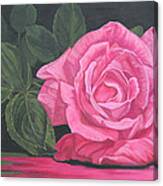 Mothers Day Rose Canvas Print
