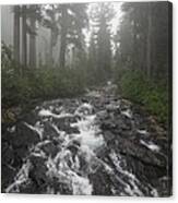 Mount Rainier National Park Canvas Print