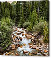 Mountain Stream Canvas Print