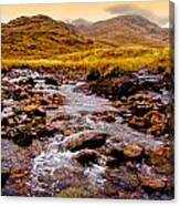 Mountain Stream Canvas Print