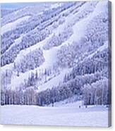 Mountains, Snow, Steamboat Springs Canvas Print