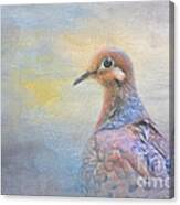 Mourning Dove Art Canvas Print