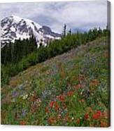 Mt Ranier Wildflowers 2 Canvas Print
