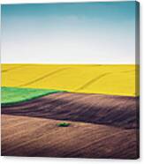 Multi Colored Panoramic Spring Field Canvas Print