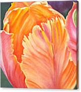 Multicolored Tulip - Transparent Watercolor Canvas Print