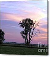 Multiple Color Clouds In Sky Canvas Print