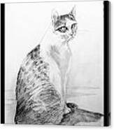 My Pet Cat Canvas Print
