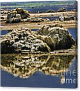 My Rock On Black Point - Mono Lake Canvas Print