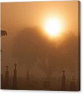 Mystical Fog Canvas Print