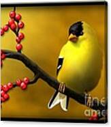 N. American Male Goldfinch Canvas Print