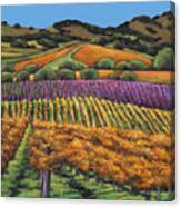 Napa Canvas Print