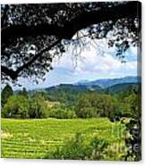 Napa Valley Winery California Canvas Print