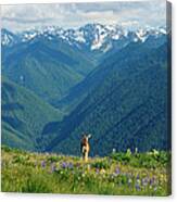 Nature Is Calling Canvas Print