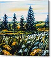 Nature Landscape Field Flowers Pines Art Canvas Print