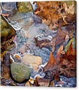 Nature's Abstract Canvas Print