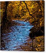 Natures Golden Secret Canvas Print