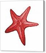 Nautical Red Starfish Canvas Print