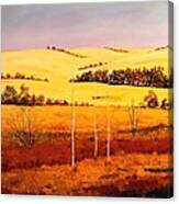 Nebraska Plains Canvas Print