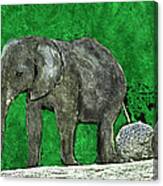 Nelly The Elephant Canvas Print