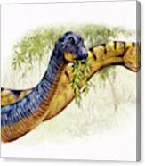 Nemegtosaurus Dinosaurs Canvas Print