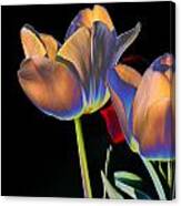Neon Tulips Canvas Print