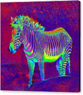 Neon Zebra Canvas Print