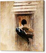 Nest Prepping Canvas Print