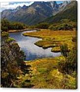 New Zealand Alpine Landscape Canvas Print