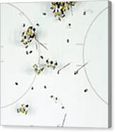 Nhl Jun 11 Stanley Cup Finals Game 6 - Canvas Print