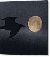 Night Bird Canvas Print