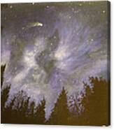 Night In The Forrest Canvas Print
