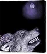 Night Wolf Canvas Print