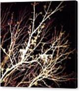 Nighttime Tree! Tag Your Pics Canvas Print