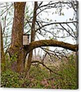 Nisqually National Wildlife Refuge / Trees And Birdhouse Canvas Print