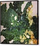 No Instagram Filters Can Make This Kale Canvas Print
