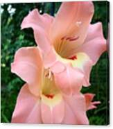 #nofilter #flower #lily #pink #summer Canvas Print