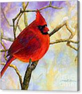 Northern Cardinal Canvas Print