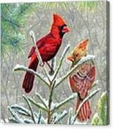 Northern Cardinals Canvas Print