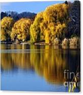 Autumn Weeping Willows Canvas Print