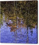 November River Reflection Canvas Print