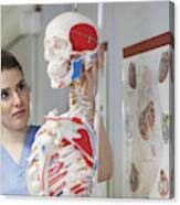 Nurse Examining Skeleton In Doctor's Office Canvas Print