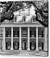 Oak Alley Mansion Black And White Canvas Print